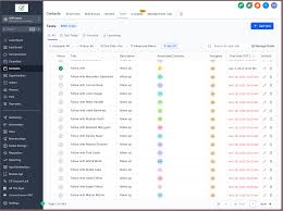 gohighlevel team management