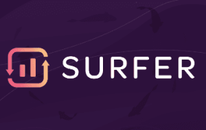 Keyword-Surfer-hussledad